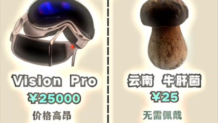วิชันโพร 🤜VS🤛 เห็ดตับเต่ายูนนาน