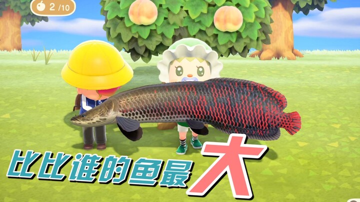 [Nüliu] Let’s see whose fish is the biggest?