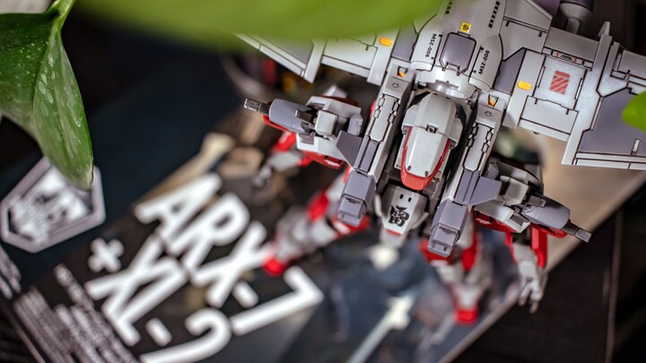 [China Good Model Friends] Strong Crossbow & Emergency Deployment Wing Set, Complete!