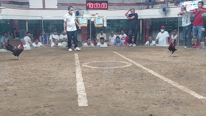 codename: "push -up" at  texas marikina