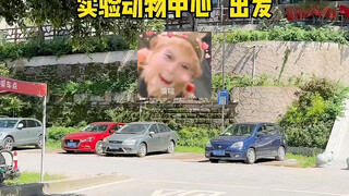 登子帮忙：西南大学