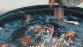 网瘾少年靠卖海苔，当上亿万富翁 " "亿万少年的顶级机密 "
