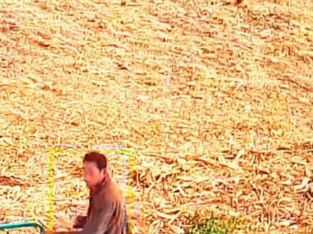 الكاميرا حذرتك بالفعل ألا تلتقطه، لكنك أصررت على التقاطه.