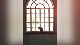 / người tình ngày nào nay bước theo chồng / jujutsukaisen anime fyp xuhuong2022 sky_anime🇻🇳 vanbao19_11