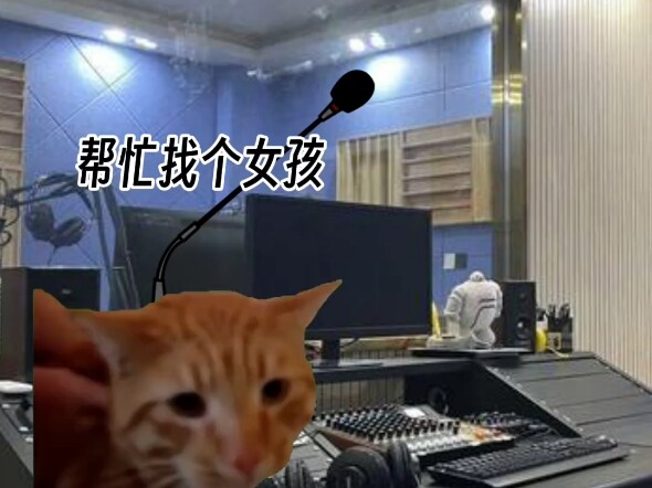 Khi bạn gái của bạn làm mất mèo – kịch ngắn meme