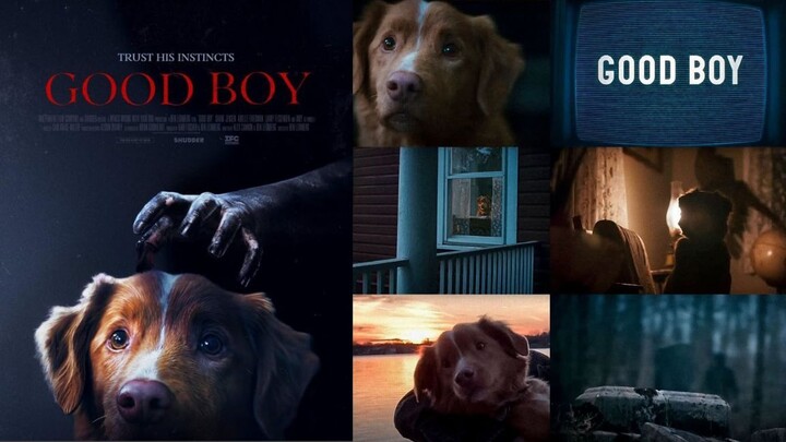 Chó Cưng đừng sợ - Good Boy ( Phim cảm động lắm, ai yêu chó thì đừng bỏ qua)