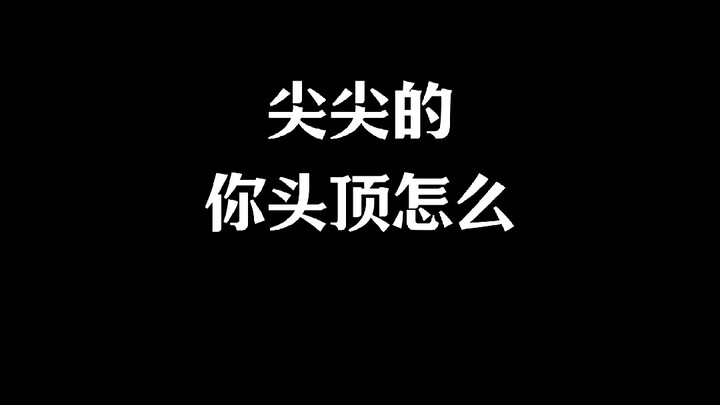 إصدار أغنية إيمو الشتوية الجديدة بعنوان «أي شكل من قمة الرأس ترغب في أن تبرز به؟»