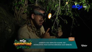 MOJI HD • MOji Adventure • [ 11062025 ] • [ Vidio TVOD ]