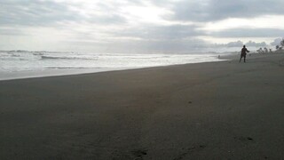 pantai selatan kebumen jawa tengah