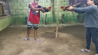 FOUL COUNTED || BOY PASABIT