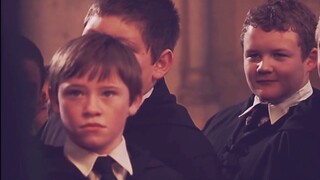 [HP/Draco Malfoy] Góc nhìn của bạn gái | Một đòn chí mạng ngọt ngào từ Vườn Cỏ Rắn | Không ai ngọt n