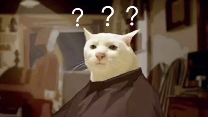 Không có chú mèo nào rời tiệm cắt tóc mà còn cười được cả!