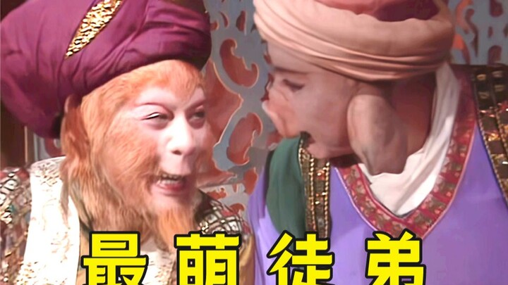 【Heo × Khỉ】Tiểu động vật thỉnh kinh? Đội đệ tử đáng yêu nhất