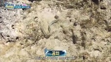 law of jungle EP.349 (eng sub)