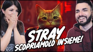 Stray: è così bello come dicono? Gameplay ITA hands-on