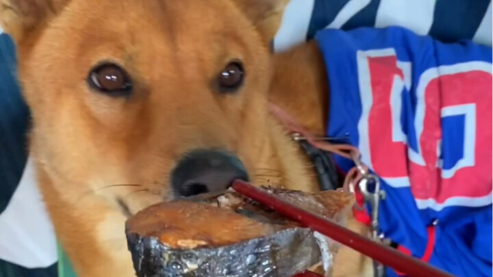 I didn’t poison anyone.