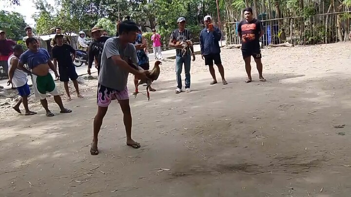 bulik babalik 1hit delete