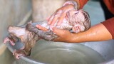 Take a bath & Clean up for tiny adorable Toto and Yaya