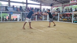 Hackfight Sabungan sa Pitogo Win