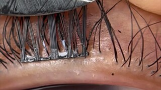 Now you know where to apply false eyelashes, right?