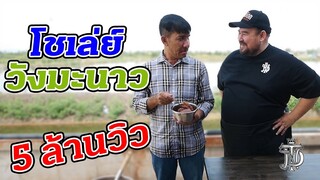 โชเล่ย์ วังมะนาว