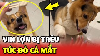 Vin Lợn - Sen sơ hở là lấy MIẾNG ĂN ra trêu khiến Vin TỨC ĐỎ MẮT 😂 | Yêu Lu