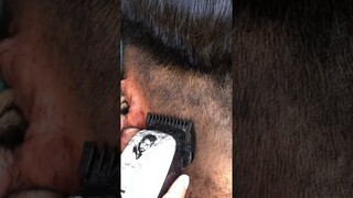 Cukuran dulu pake alat cukur yg awet karena banyak dipakai sama barbershop kemei km pg809a