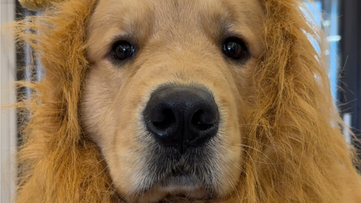 快快测试你的好友有没有敷衍你！