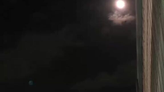 🌙