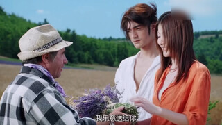 【薰衣草】金城武&陈慧琳（神颜）