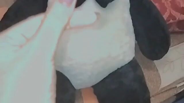 panda