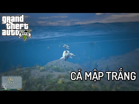 GTA V nhưng Tôi Là CÁ MẬP TRẮNG