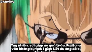 Top 10 Pha Combat Hoành Tráng Của Roronoa Zoro p5