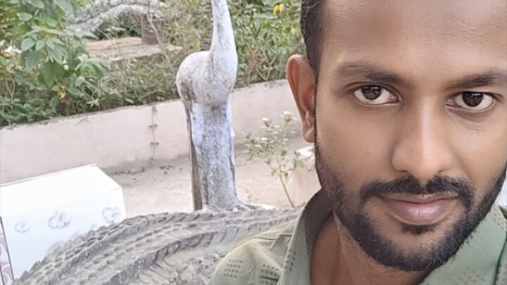 পাম্প বিচি রাখা হয় যে ভাবে