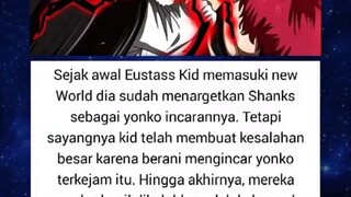 anime onepiece keluarga wibu