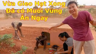 Trồng Vừng và làm Muối Vừng ở Châu Phi||2Q Vlogs cuộc sống châu phi
