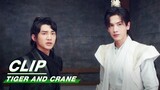 Camellia Girl was Murdered | Tiger and Crane EP09 | 虎鹤妖师录 | iQIYI