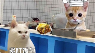 استهلاكي كما يتخيله والداي مقابل الواقع