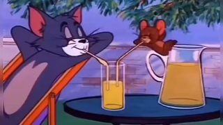 猫和老鼠 %这是一个悲伤的故事