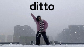 雪天就要配ditto啊
