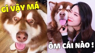 Ngáo Gia Gia | Mẹ Hạnh Phúc Khi Có 1 "Chiếc Chó" Luôn Ở Bên Khi Mẹ Cần 😍 Gâu Đần Official