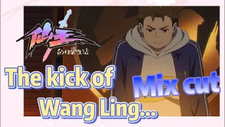 [The daily life of the fairy king]  Mix cut |  The kick of Wang Ling...