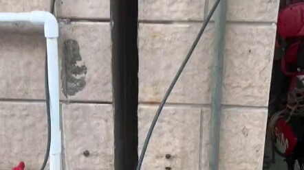 Pemohon bantuan: Terjebak selama sebulan, berteriak meminta tolong kepada orang-orang yang lewat sel