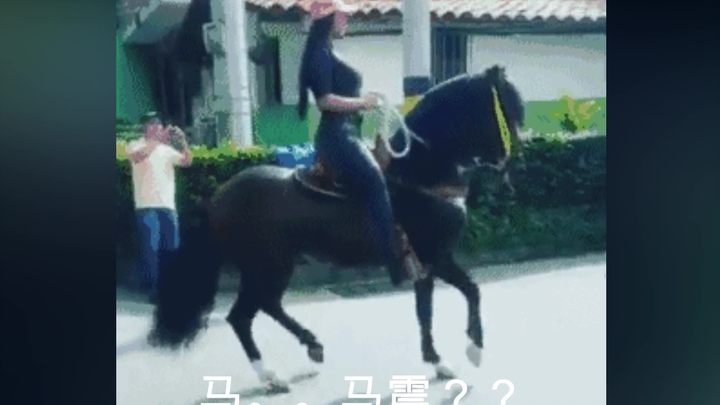 هذا الحصان.. صدمني حقًا.. أبرز الصور المتحركة المضحكة على الإنترنت [الحلقة العاشرة]