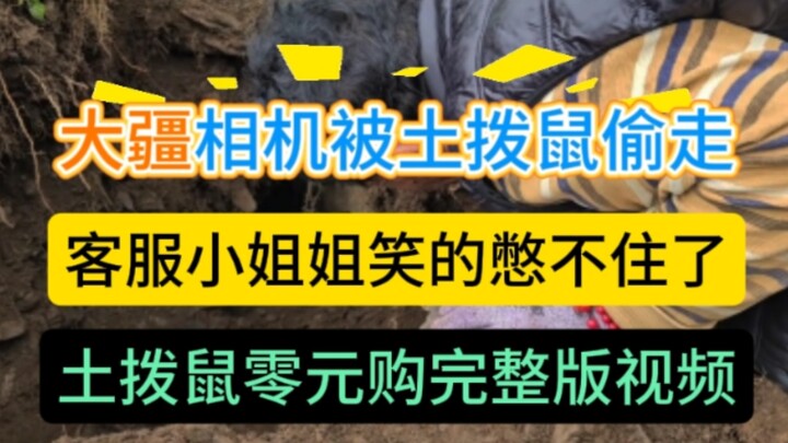 Kronologi terbaru kasus tupai yang mencuri kamera DJI: Pria kehilangan kamera DJI karena “belanja gr