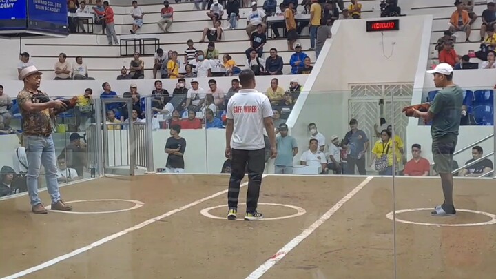 Berdugo Blueface Hatch x Lemon