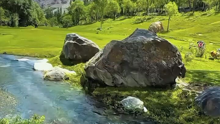"Camping in Paradise 🏔️🏕️ | Peaceful Nature View"