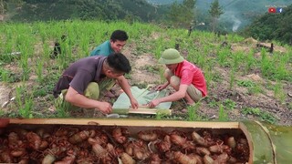 ẤU TRÙNG VE SẦU