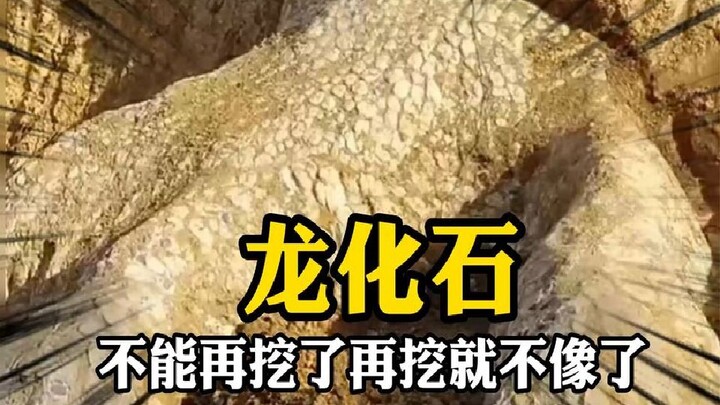 A giant dragon claw has been discovered in Hunan! Netizens are exclaiming, “Don’t dig any further, o