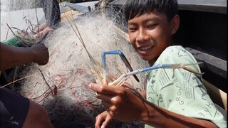 Lẩu cá ngát tôm. Cuộc sống lênh đênh sông nước - Bin Đen Miền Tây # 202